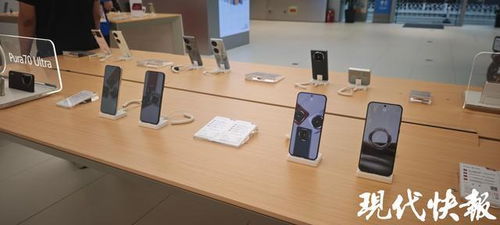 前5月南京经济稳健增长，‘以旧换新’政策显效，汽车与家电零售额大幅攀升